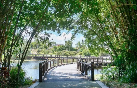 limos gold coast queensland